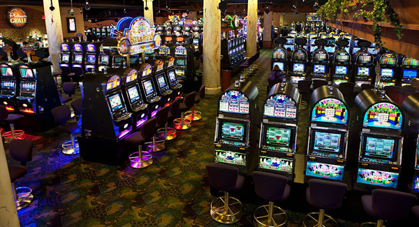 Used Oasis Slot Accounting System For Sale - Focus Gaming Solutions